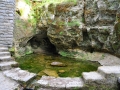DSC_4251.jpg