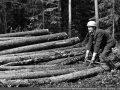 1974_015.jpg