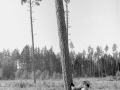 1976_023.jpg