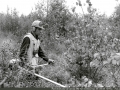 1978-013.jpg