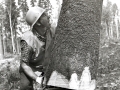 1984-040a.jpg