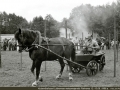 1988DSC_2496.jpg