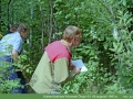 1993_DSC1071.jpg