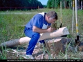 1994_25.jpg