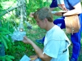 1994_26.jpg