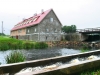 halliku_img_4048