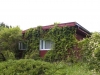 iru_img_1602