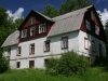 viru-tammiku-taavi-saar